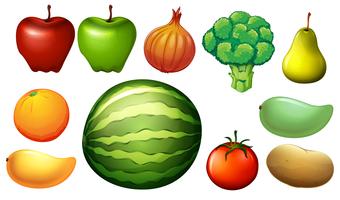 Nutritious foods vector