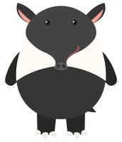 Tapir on white background vector