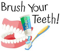 Cepille sus dientes con un cepillo de dientes y pegue vector