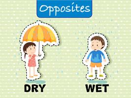 Opposite words for dry and wet vector