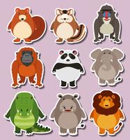 Sticker design with cute animals vector