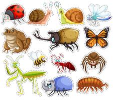 Conjunto de pegatinas de muchos insectos. vector