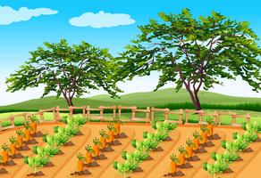 Vegetable Farming in the Rural Area vector