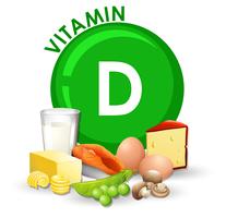 A Set of Vitamin D Food vector