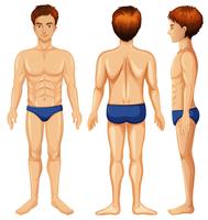 A Set of Male Body vector