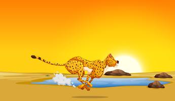 A cheetah running in the desert vector