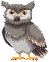 Gray owl on white background vector