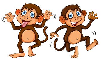 Two cute cartoon monkeys vector