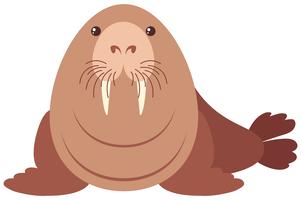 Walrus with happy face vector