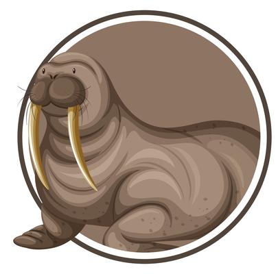 A walrus on circle banner