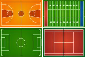 Sport fields and courts vector