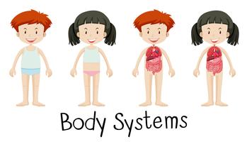 Children and body systems vector