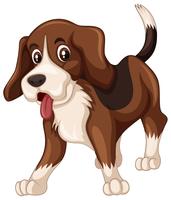 Perro beagle sobre fondo blanco vector