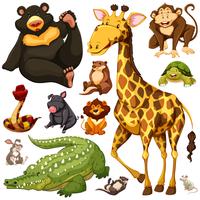 Different types of wild animals vector