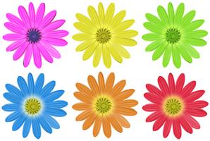 Colourful flowers vector