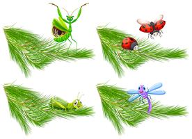 Insect on Pine Tree Branch vector