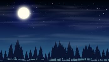 Escena nocturna con bosque de silueta vector