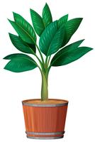 Small Plant in the Pot vector