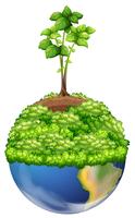 Green plants on earth vector