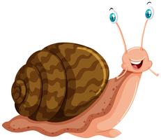 Snail with happy face vector