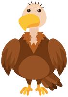 Vulture on white background vector