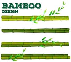 Diferente diseño de bambú con tallo y hojas. vector