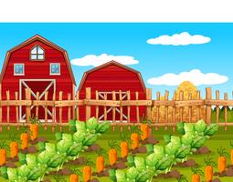A rural farm landscape vector
