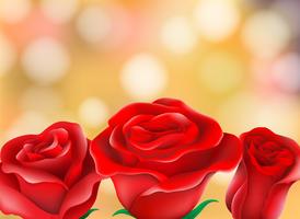 Rosas rojas hermosas desenfoque de fondo vector
