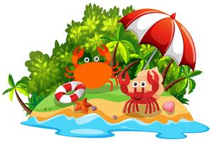 Two crabs on the island vector