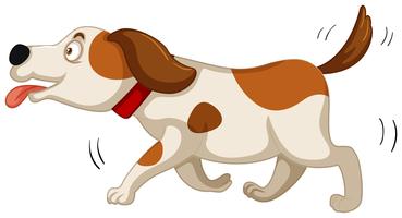 Cute dog running on white background vector