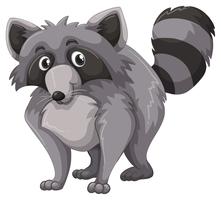 Gray raccoon with happy face vector