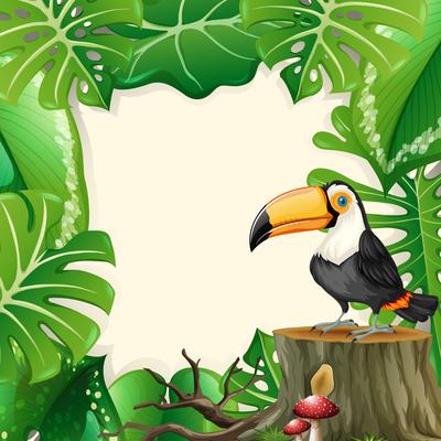 Large toucan forest frame