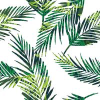 Seamless exotic pattern with palm leaves. vector