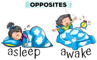 Opposite words for asleep and awake vector