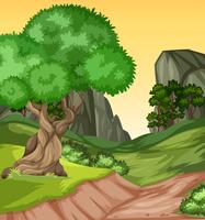 Beautiful nature hill landscape vector