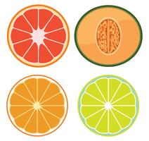 A Set of Sliced Fruits vector