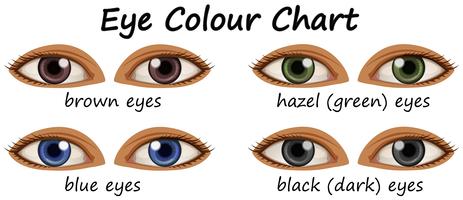 Ojos humanos con diferentes colores.