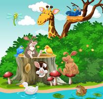 Wild animals living in the park vector