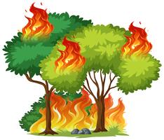 Isolated tree on fire vector
