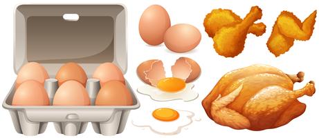 Huevos Y Pollo Frito. vector