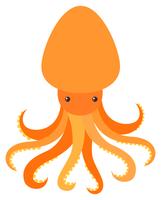 Orange octopus on white background vector