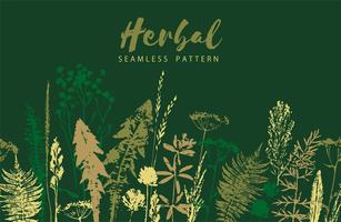 Herbal Background Vector Art, Icons, and Graphics for Free Download