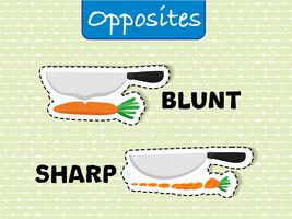 Opposite words for blunt and sharp vector