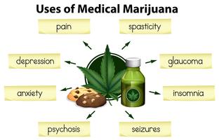 Los usos de la marihuana medicinal vector