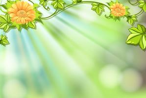 Background design with flowers and bright light vector