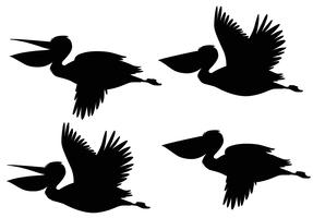 A set of silhouette pelican vector