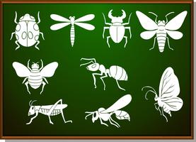 Silhouette set of many bugs vector