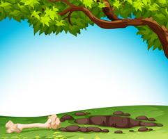 Ground and bone in nature vector