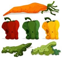 Diferentes tipos de vegetales podridos. vector