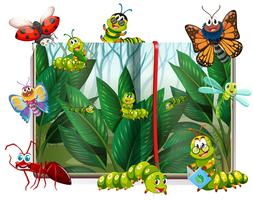 Book with different insects in garden vector